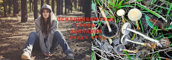 не бодяженный Алексин