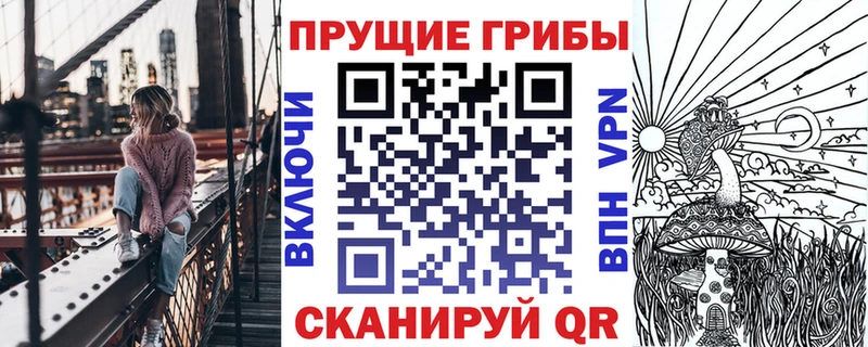 где можно купить   Зеленоградск  Галлюциногенные грибы Psilocybine cubensis 