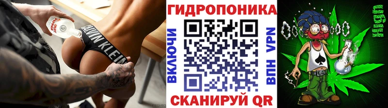 Каннабис OG Kush Зеленоградск